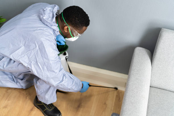 Best Pest Exclusion Services  in Eustis, FL